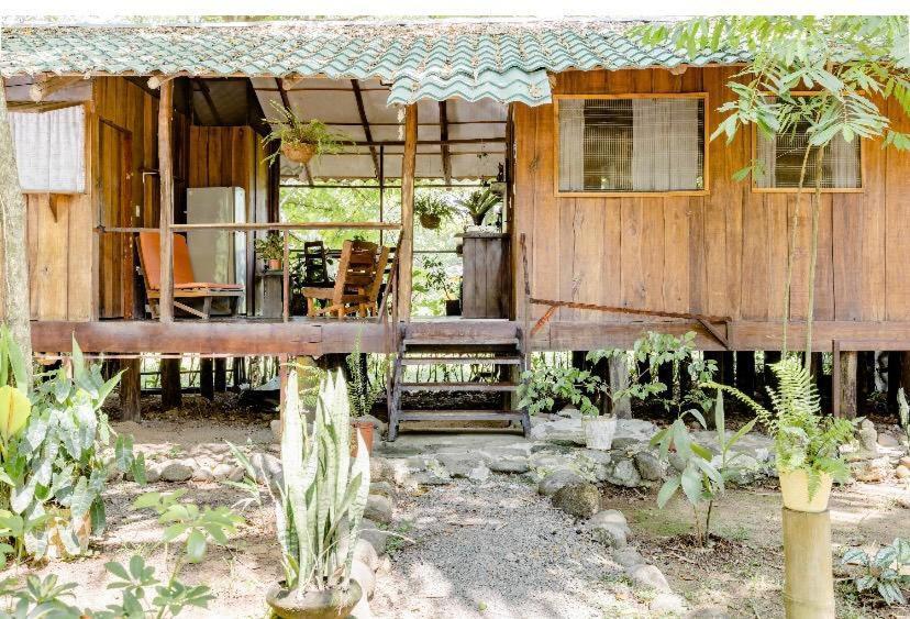 Luminosa Uvita Hostel Екстериор снимка