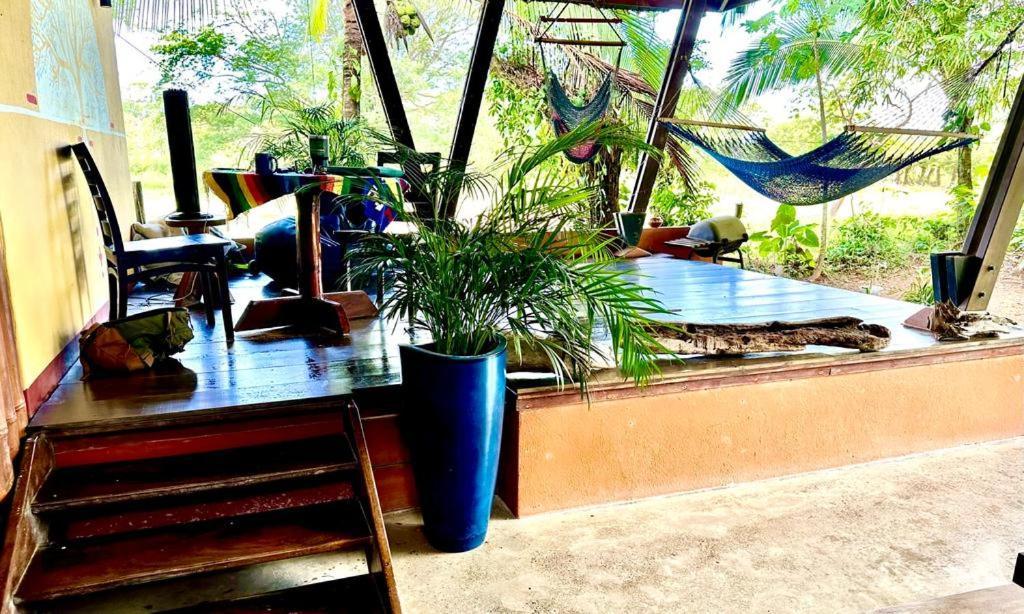 Luminosa Uvita Hostel Екстериор снимка