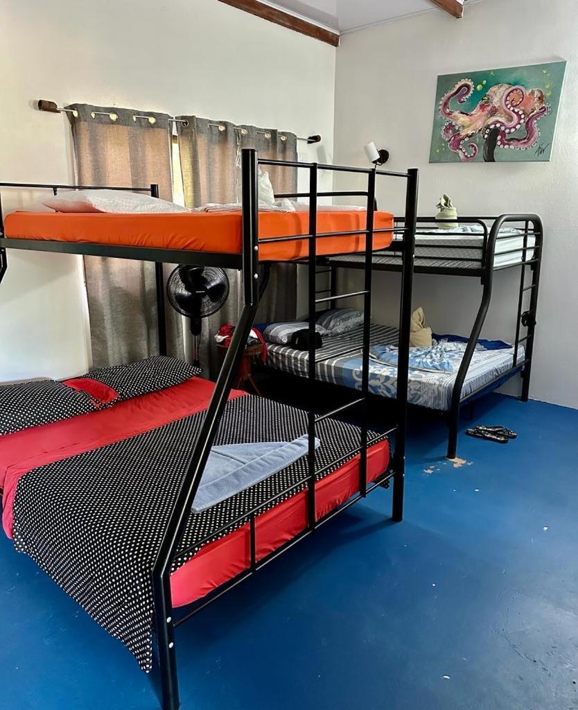 Luminosa Uvita Hostel Екстериор снимка